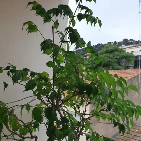 Clin D'oeil Chez Moi ! * Sète